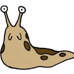 ナメクジ